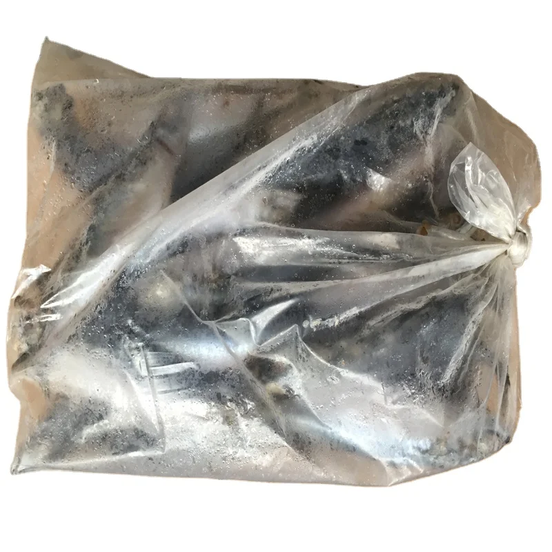 New selling fresh new season ship 200-250g frozen pacific mackerel raw material block in stock