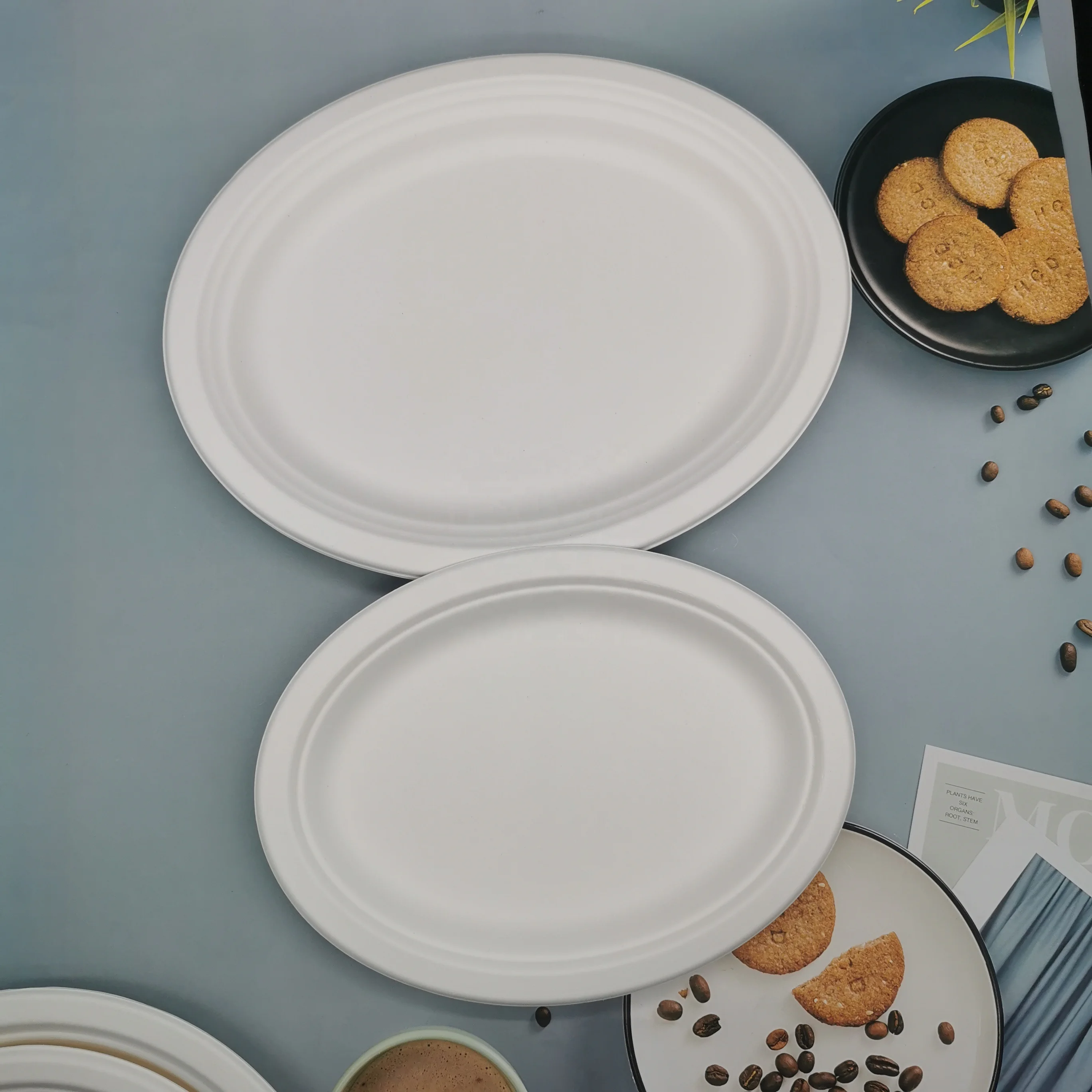 Natural Renewable Bagasse Tableware 100% Compostable Sugar Cane Bagasse Pulp Oval Shape Dishes Plates