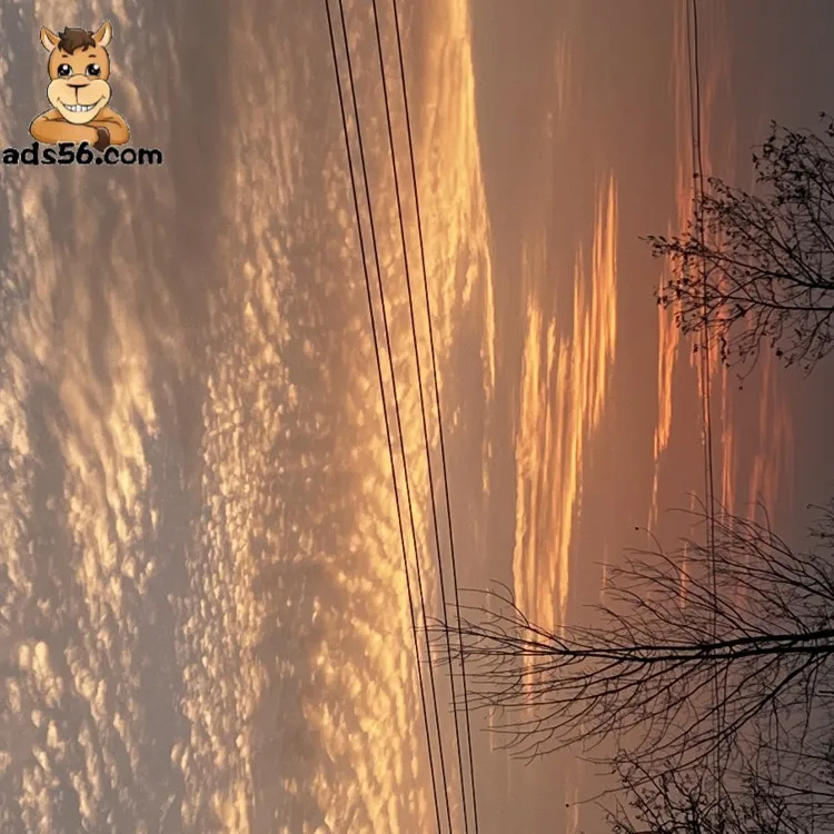 Коэффициент международной доставки DHL в Киргизию Skype/whasapp/Wechat:+ 8613971980457