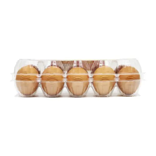 
High-quality Table Chicken Eggs Zenxin Antibiotic Free Omega-3 Eggs 