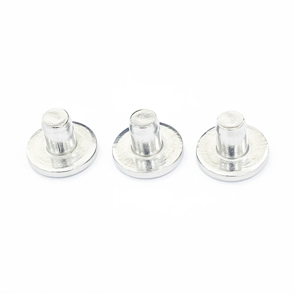 Batch Customized Stainless Steel Corrosion Resistant Solid Pot Nail Flat Head Concave Rivet