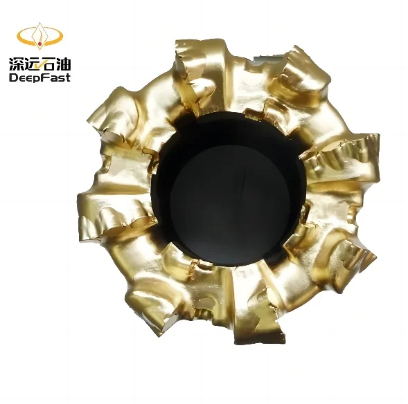 Deepfast Widely Applied Diamond Drill Bit Set M232 12 Blade 13 Cutting Tooth DFC Matrix Body PDC Bits Downhole Moto