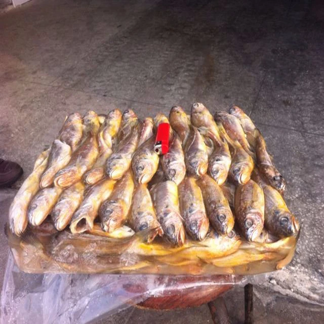 Factory direct price high quality farming export frozen small yellow croaker raw material block in stock