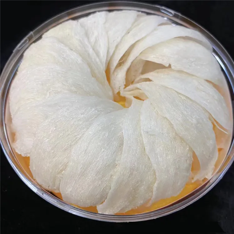 SHM Brand High Quality 5A Specification Amino Acid cubilose Edible Natural swiflet Bird Nest