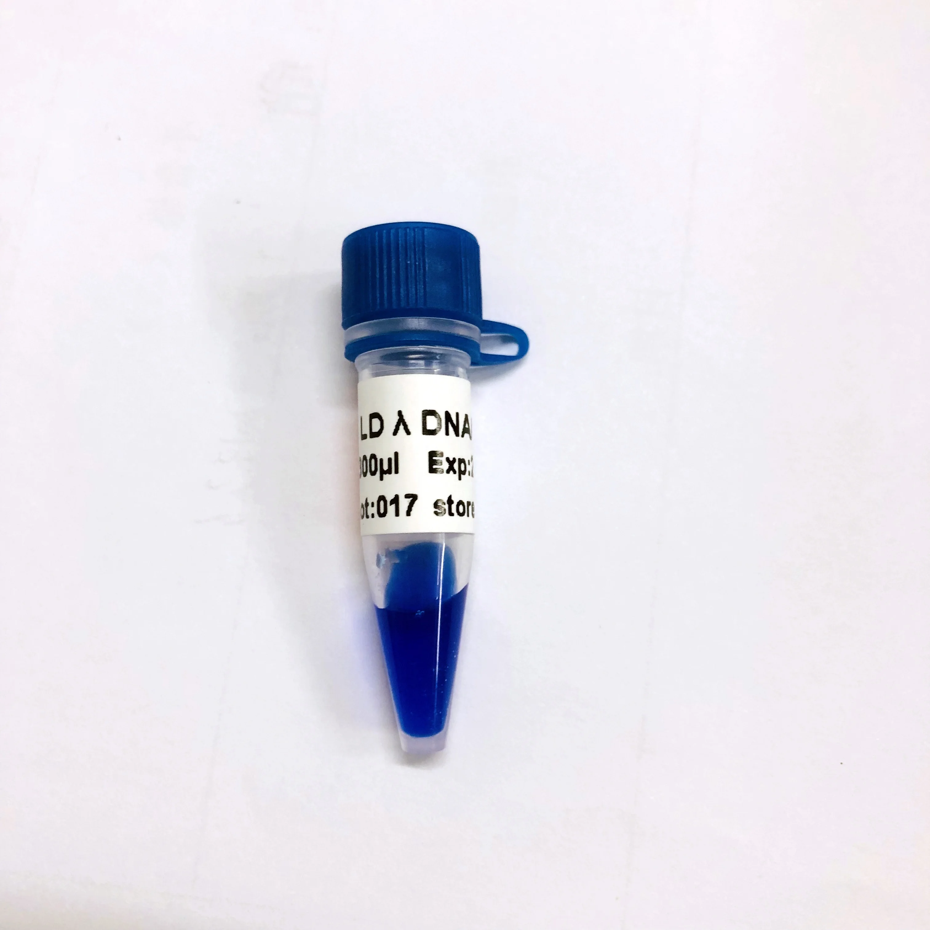 LD Lambda DNA /Hind III, DNA Marker, OEM