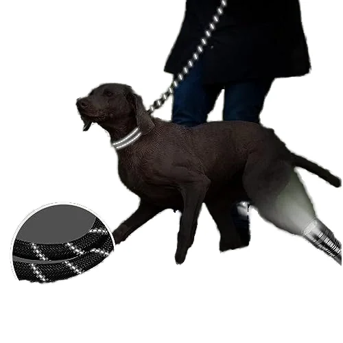 Small Medium Large Dogs Reflective Puppy Leash with Comfortable Padded Handle and Swivel Lockable Hook Leather Dog Rope