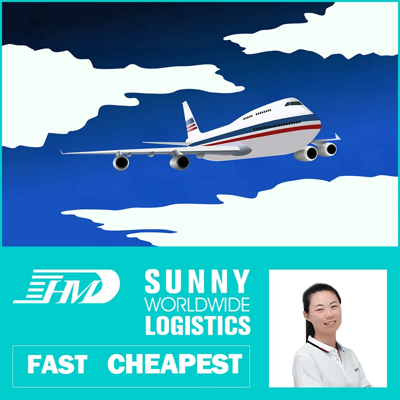 swwls Fastest Shipping Agent For Sweden Norway Belgium Air Freight Agent Door to Door services