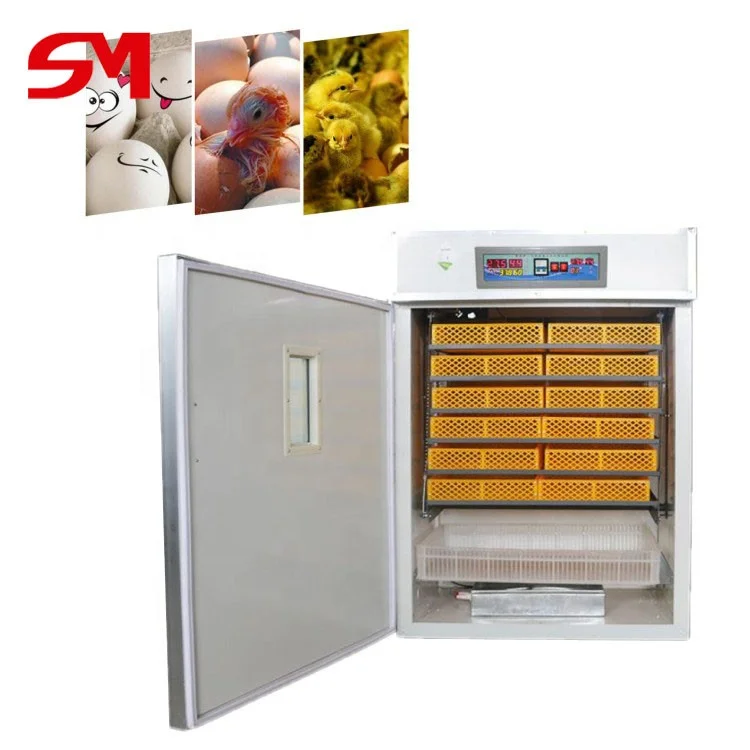 Economical And Practical Automatic Incubator 24 Capacity 112 1000 Eggs
