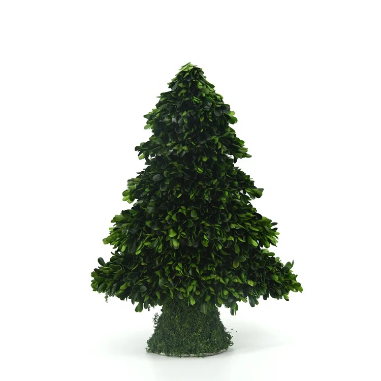 
wholesale hand-made green leaves decorate trees indoor ornamentation preserved lobular boxwood 