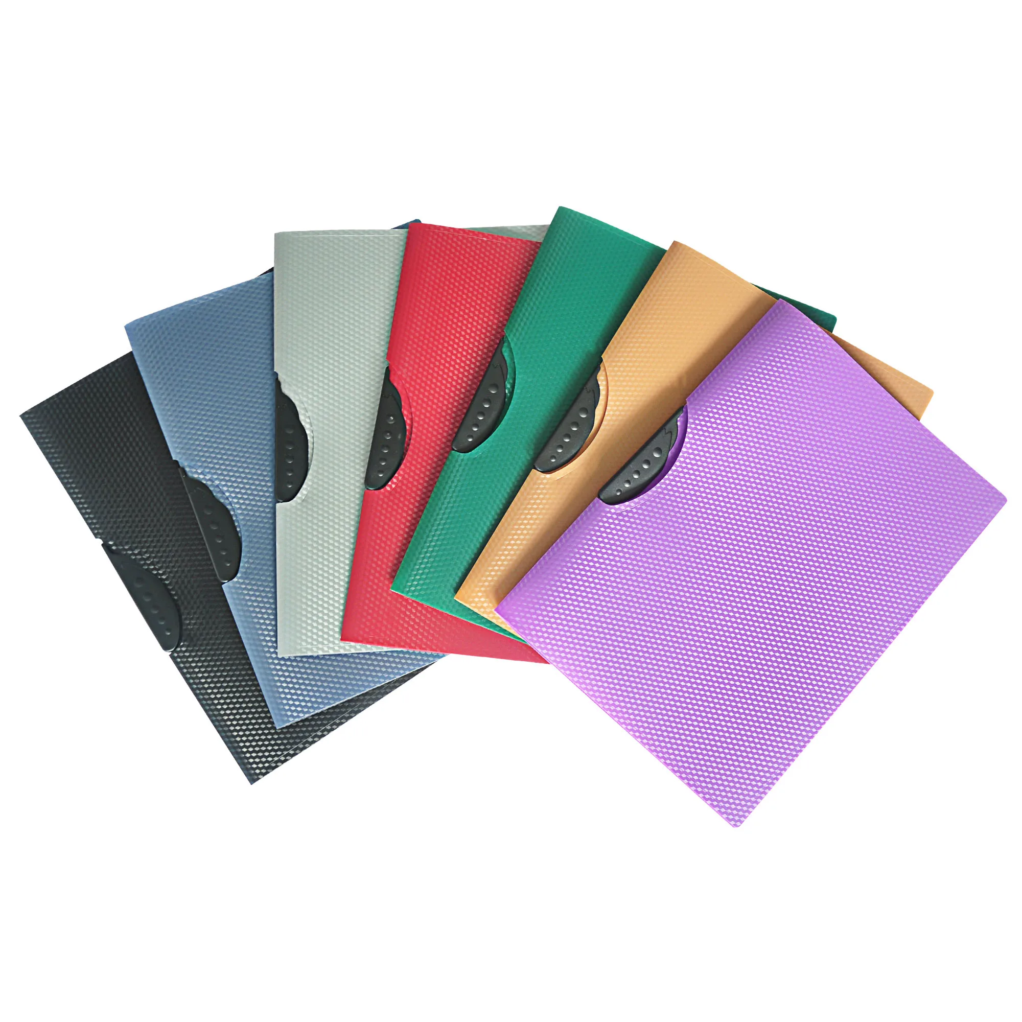 Custom Design Plastic Swing Clip Folder Pp Report Folder A4 Size File Folder