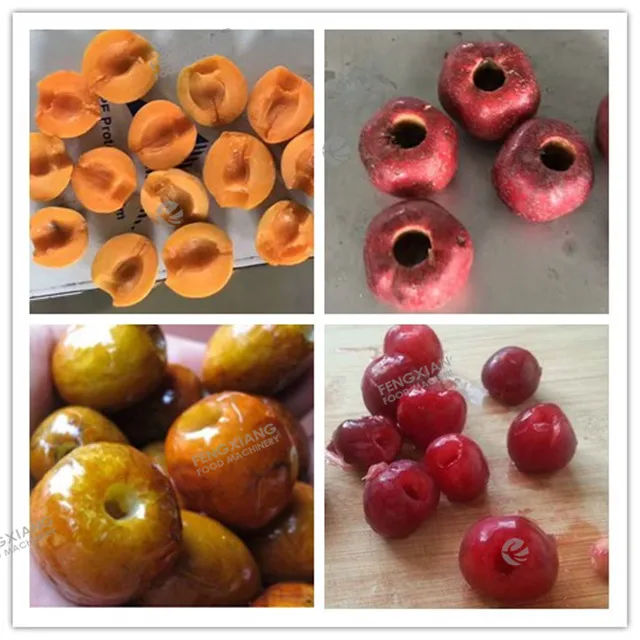 CL-I Apricot Coring Machine Stoner Litchi Prune Plum