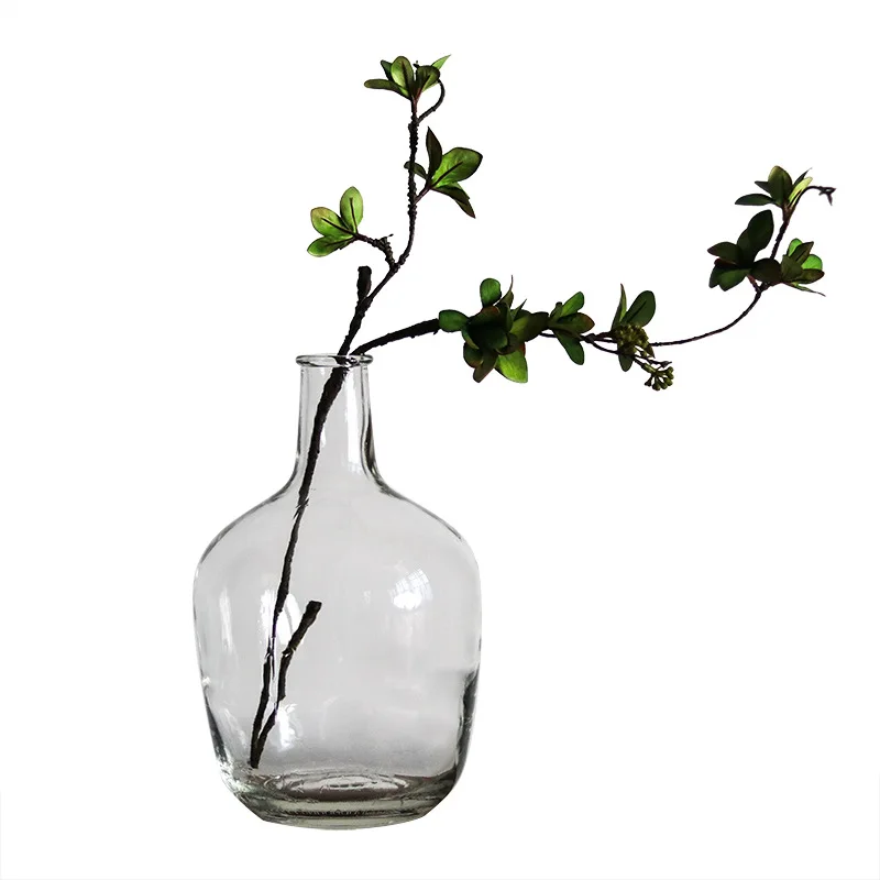 Nordic big belly glass vase Minimalist transparent glass vase Home decoration floor hydroponic plant glass ornaments