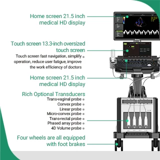 Давэй DW-T8 сердечно-сосудистых кардиологии полный цифровой цветной допплер Ультразвуковой сканер машина