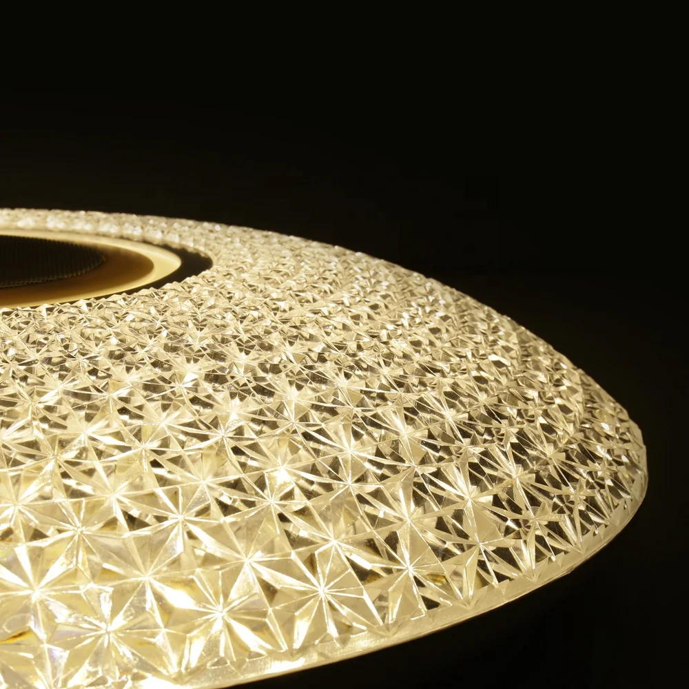 Envis good speaker led ceiling light wireless app control led ceiling lamp round 48W 72W smart rgb led ceiling lights