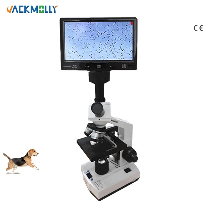 JM-Q19 9 inch screen Medical microscope JM digital biological laboratory constant temperature microscope