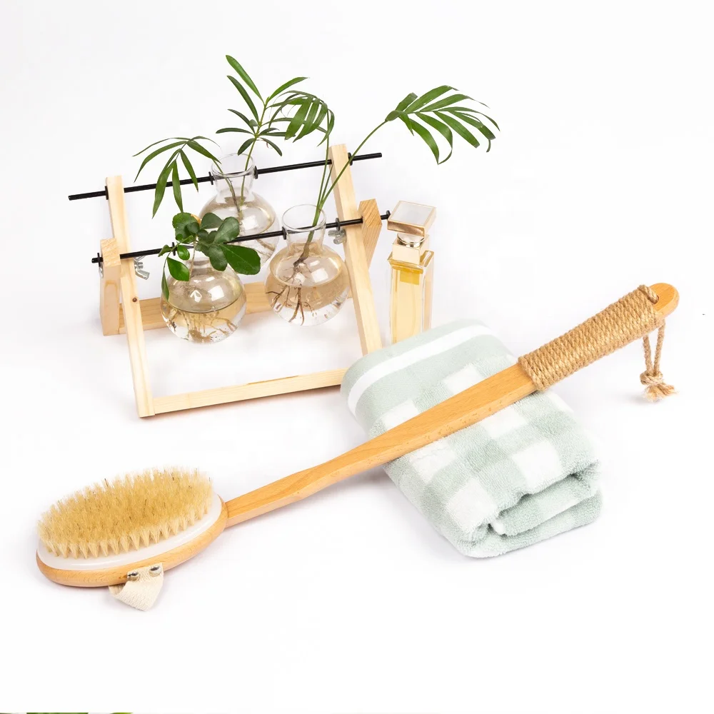 Natural Bristle Wood Back body skin wooden bath brush set