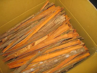 HOT SALE VIETNAM SPLIT CASSIA 35-45 CM FOR INDIA MARKET  Length 35 - 45cm (80% min) Free Sample