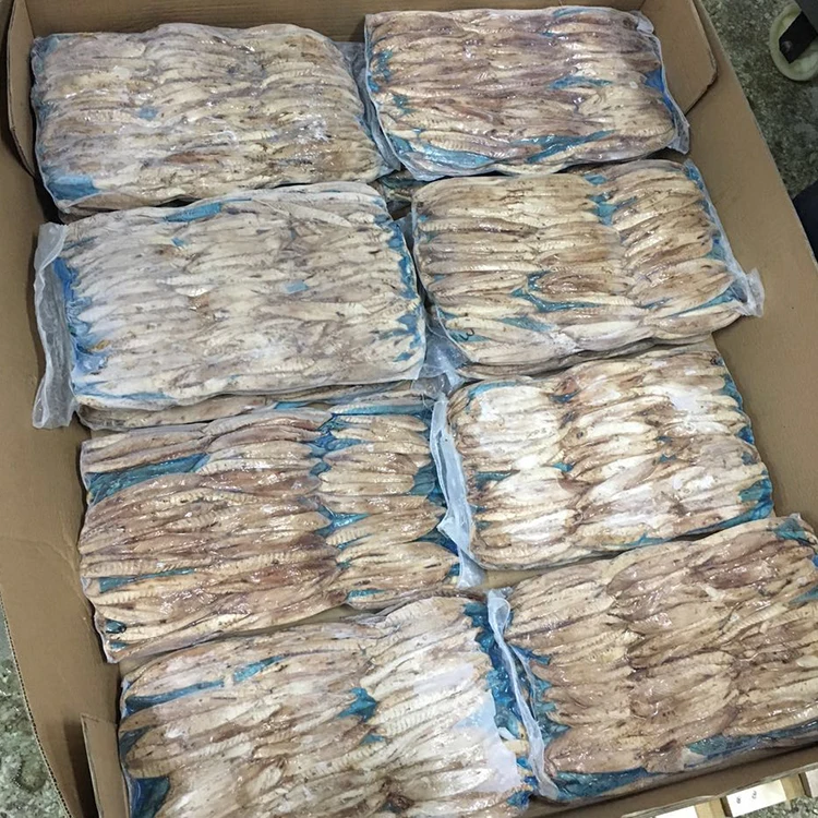 frozen bonito tuna loins fish product for sale