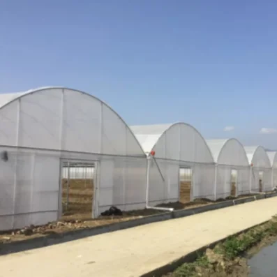 Commercial/ Agricultural Multi Span Plastic Film Hydroponics Growing System Greenhouse for Vegetable/ Garden