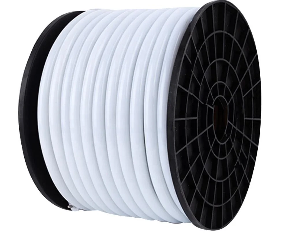 LED Neon flex letters for clothing shop