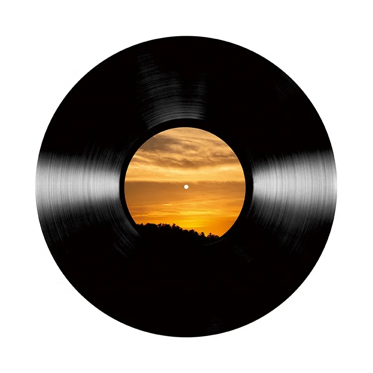 
Черный LP (виниловые пластины), изготовленный в Белых Бумажных рукавах 