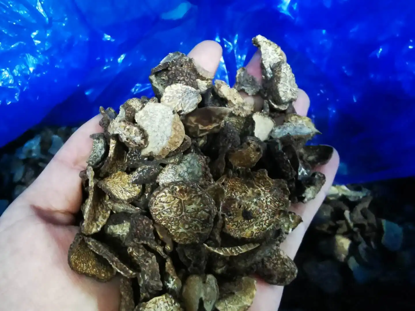 Detan Chinese Wild Dried Black Truffle Slices Price