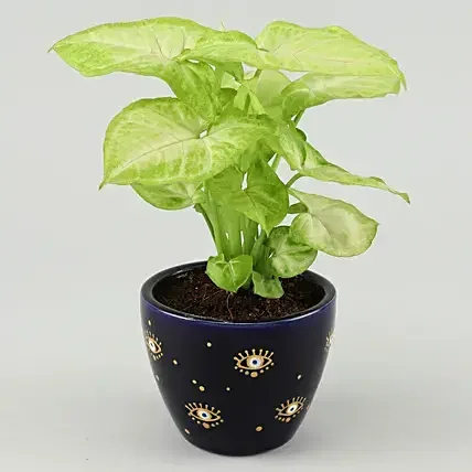 evil eyes flower pot garden large planters pot for outdoor plants