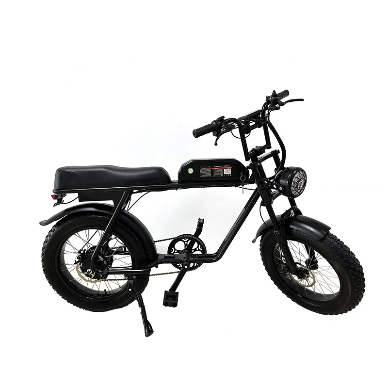 China supplier fat tire 20inch 48v 15ah ebike 800w electric bicycle electric bike