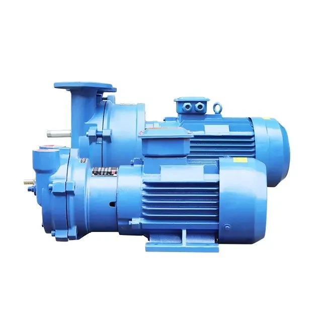 2BE3 serie liquid chlorine Vanguard Medium Pressure vacuum pump compressor