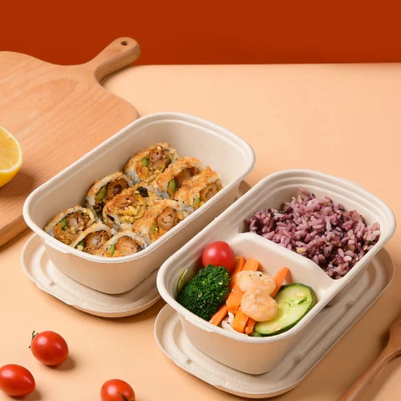 Disposable Takeout Tableware Sugarcane Bagasse Bowl For Picnics Parties