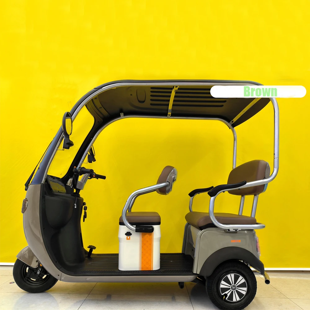 Wholesale 800W 3 Wheel Electric Tricycle Bike Family Use E Trike Electric Tricycle With Cover