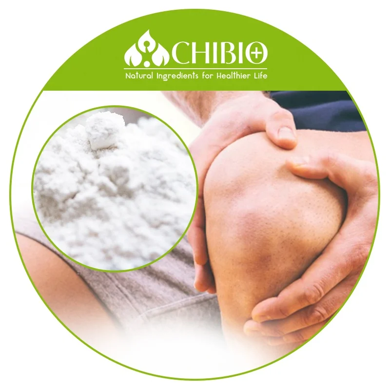 Best Selling Food Grade Methylsulfonylmethane MSM Powder Bulk Price