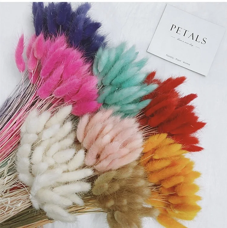 
Rabbit Tail Grass Bouquet Long Bunches Natural Dried Lagurus Ovatus Artificial Flowers 