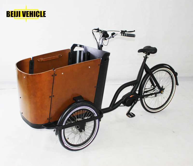 Urban  Family Electric Cargo Bike for sale
