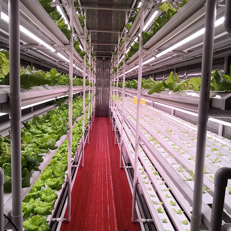 Low price cheap modern agriculture hydroponic system smart lighting growing hydroponic system