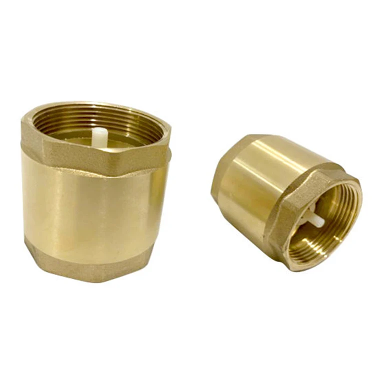 Support samples Thread Brass Water Vertical Spring Stainless Non Return Valve