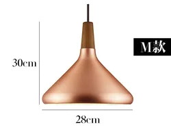 Home Interior Hanging Light Modern Nordic Living Room Ceiling Light Fixture Bedroom Restaurant Kitchen Pendant Light