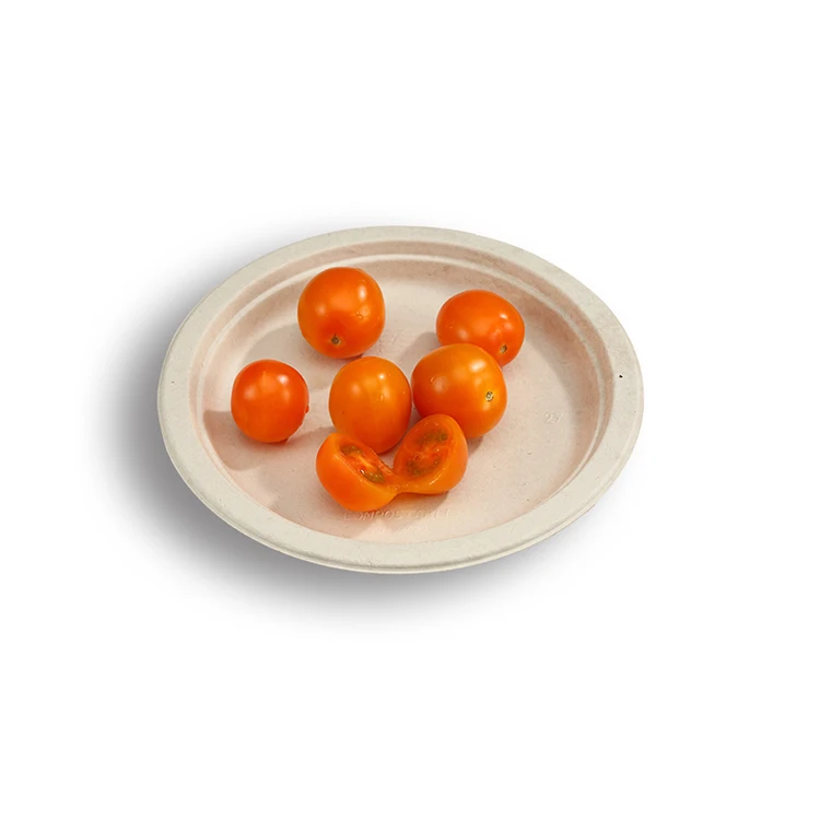 Hot Cheap Take Away Custom Disposable Plates Printed Sugarcane Disposable Plate