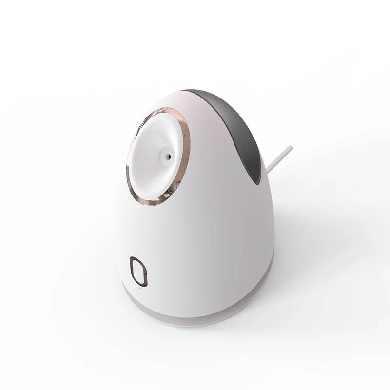 Humidifier Face Nano Mist Sprayer Custom Private Label Electric Home Mini Ionic Spa Professional Facial