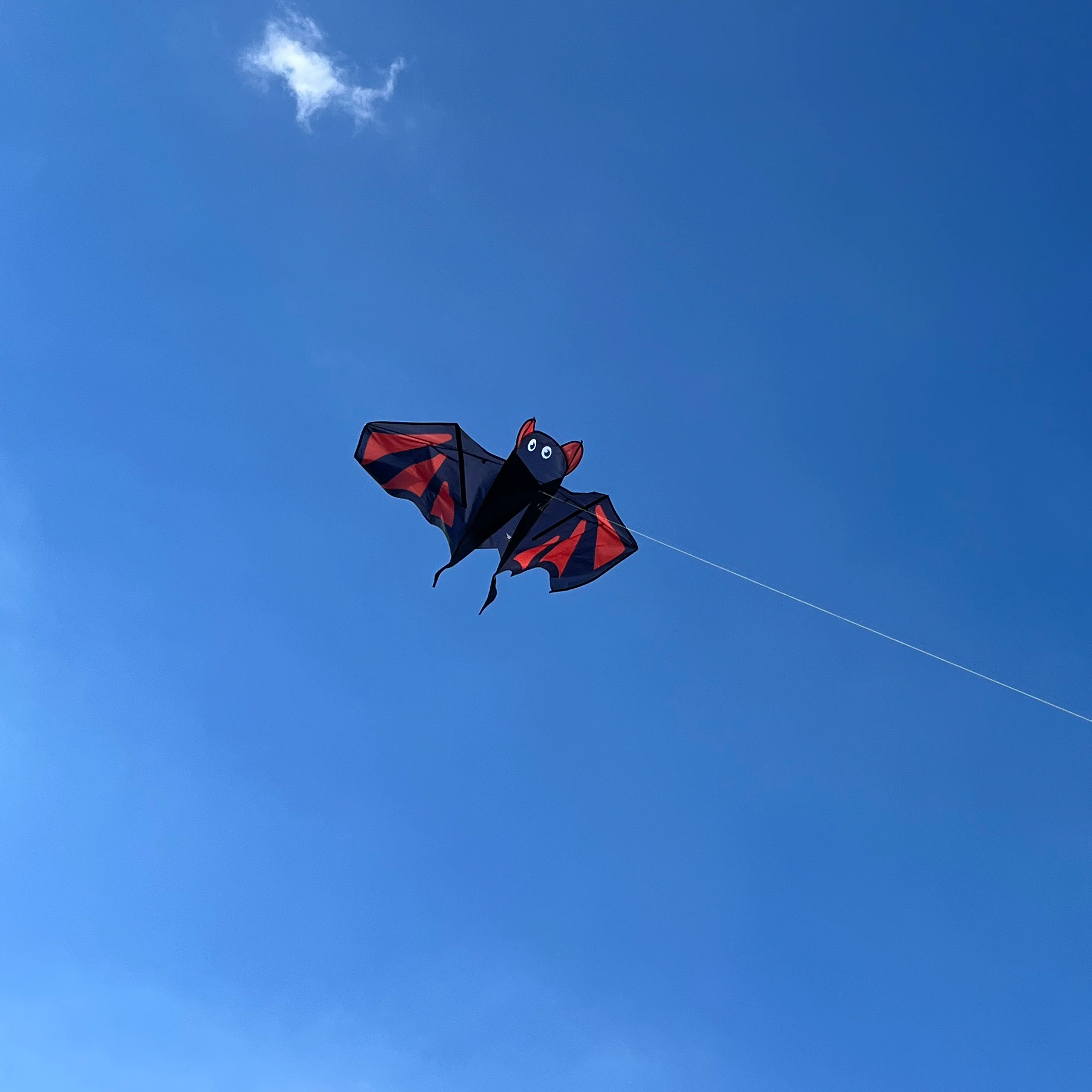 Good flying bat shape delta kite