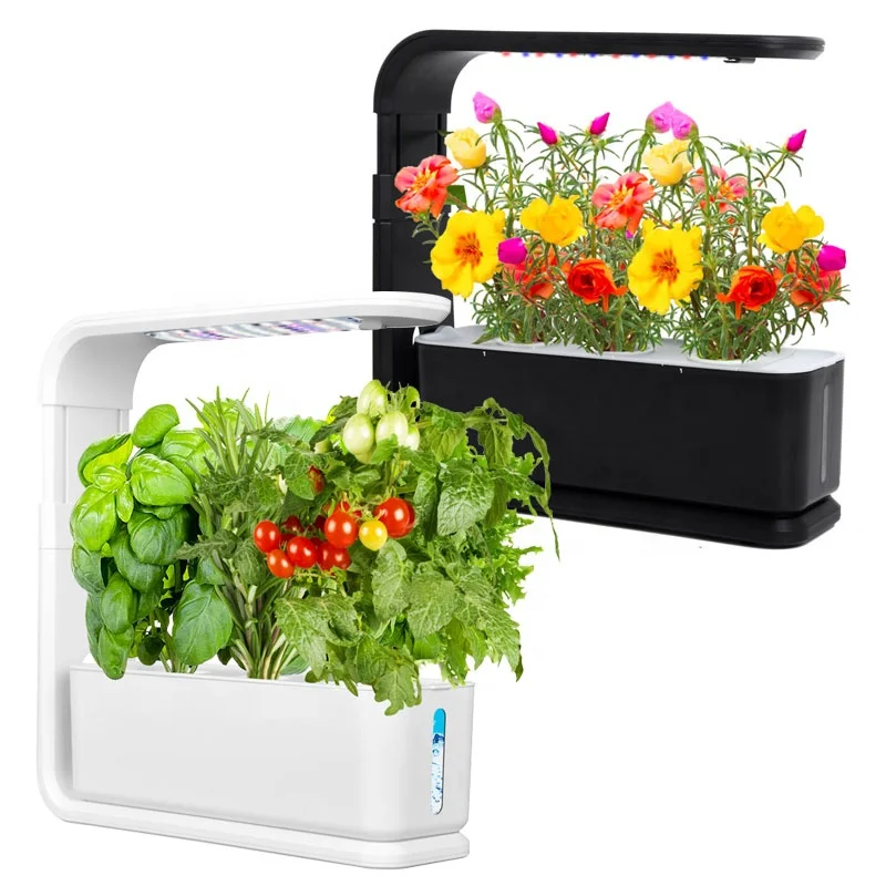 Full automatic 3 pods hydroponics indoor vertical farming wall growing system made in china