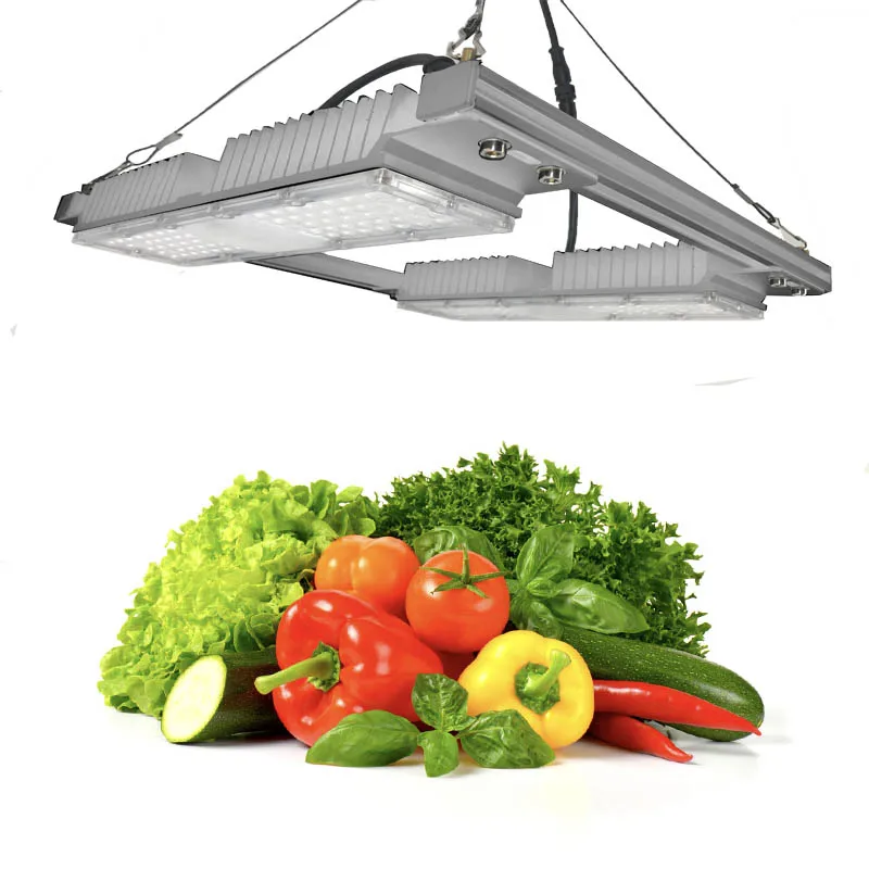 2024 High PPFD IP65 Full Spectrum Sunlike color 100W Plant Grow Light for wholesale