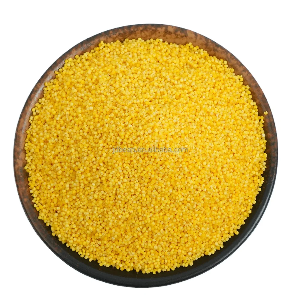 Nihewan Organic Small Millet Hulled Millet China Yellow Millet