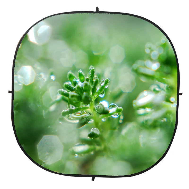 Muslin Studio Backgrounds Backdrop Panel  Studio Background Computer Paint BackdropPhoto Backdrop photography Backdrops Photo