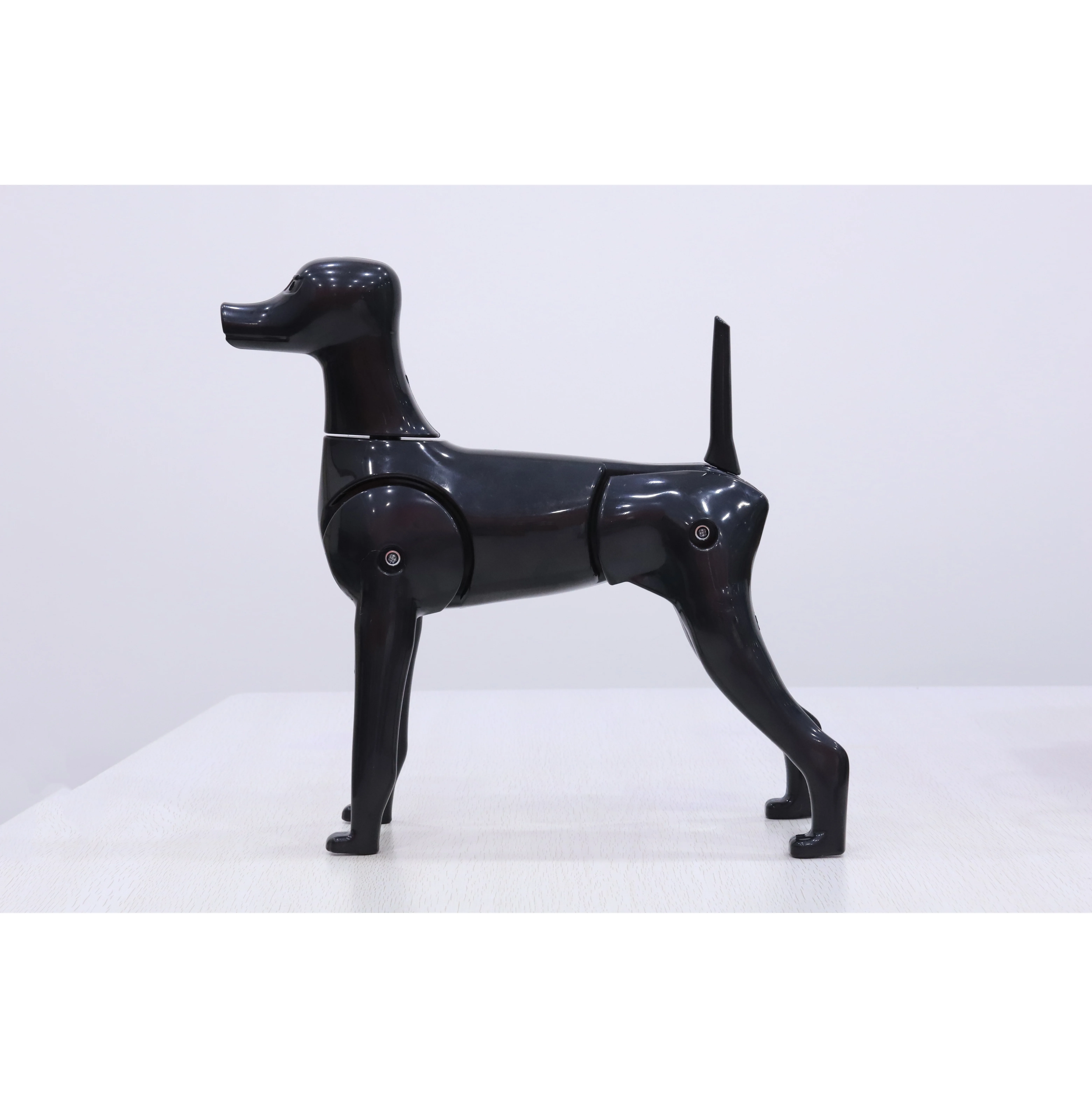 4-in-1 Dog Full Body Mannequin New Dog Model RMD-6101-KIT Bichon Model Dog