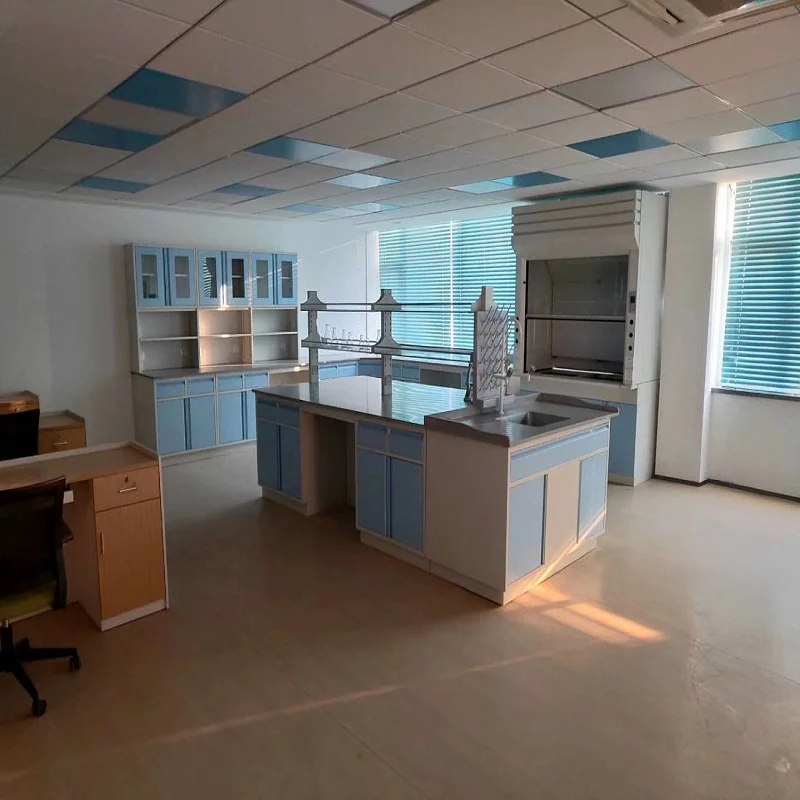 Laboratory  Wall Bench chemical resistant worktop  cold-rolled steel epoxy resin cabinet