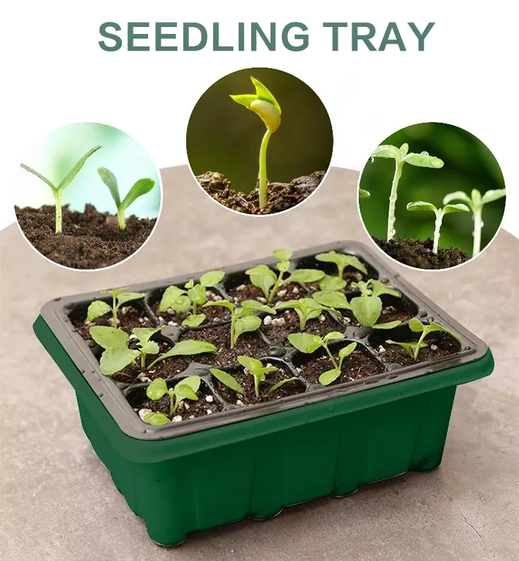 Wholesale Garden Nursery Plant Seed Grow Tray With Lid 12 Cell Germination Seedling Starter Tray Kit With Dome Grow Light