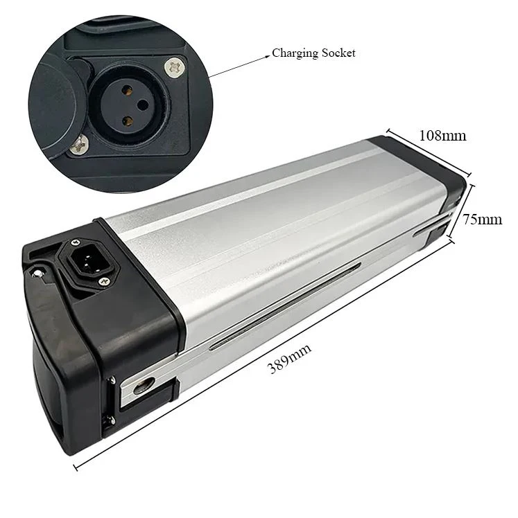 high quality 24v 36v 48V 10Ah 20Ah 18650 lithium ion electric bike lifepo4 battery pack