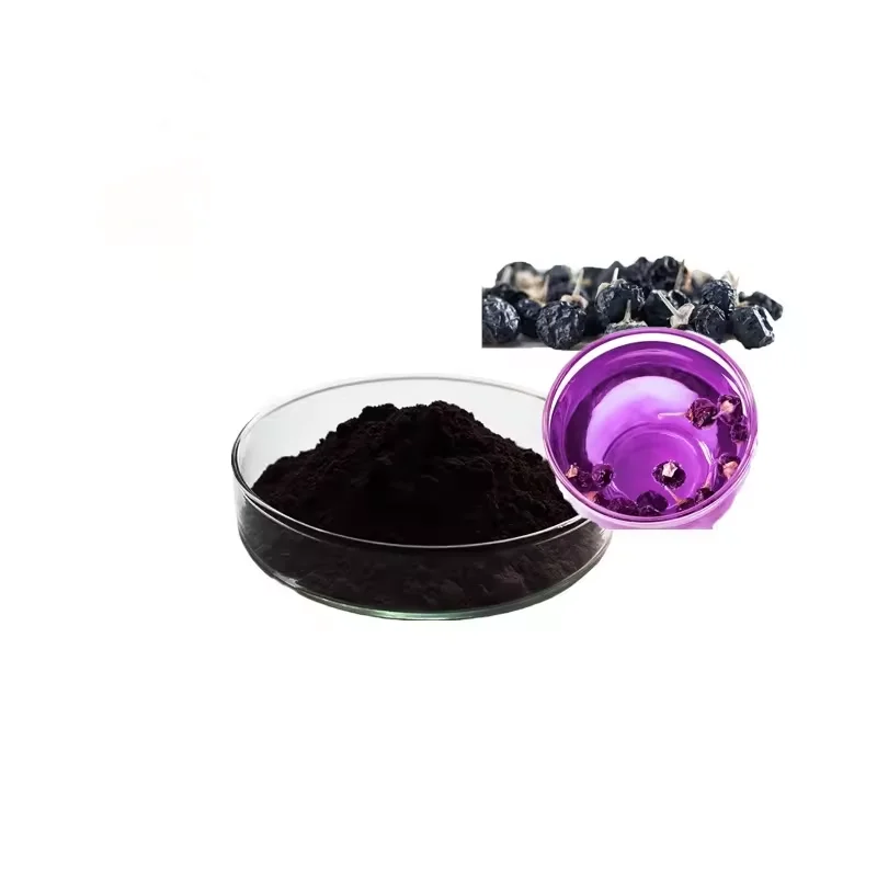 Factory price 25% Anthocyanin black goji berry extract/black goji berry powder 10:1