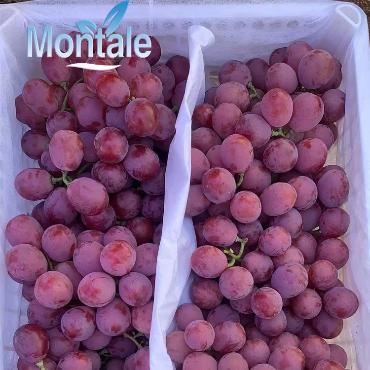 Chinese fresh red purple global grapes from Xinjiang